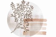 快手成人版直播带货流程全攻略-新手必读