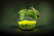 赛事焦点：每日大赛最受期待项目｜趋势前瞻，每日竞技