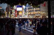商业价值探讨-抖音成人版热门账号涨粉全流程解析