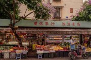 行业震动：91网会员资源，信息量巨大