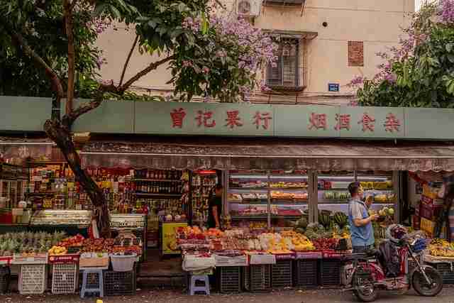 行业震动：91网会员资源，信息量巨大